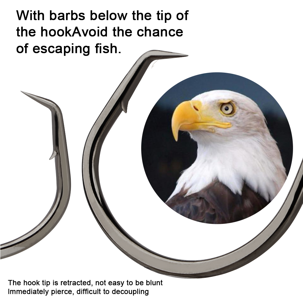 FTK釣り針 タコ釣り用サークルフック 1-6号 # -50 - Fishing Hook Circle のレビューと価格